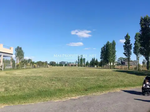 Terreno en Venta en Santa Rita, USD 46.500