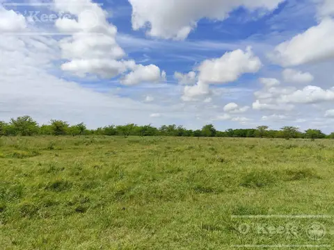 Campo en venta de 60 has en San Andres de Giles