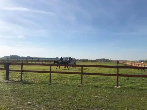 Terreno en venta - 1.150 mts2 - Campos De La Enriqueta, Coronel Brandsen