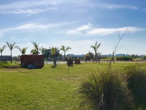 Campos De La Enriqueta