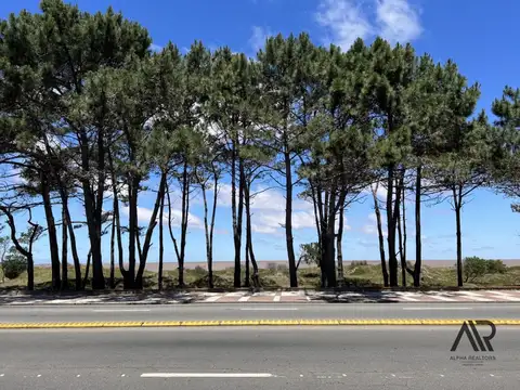 Apartamento en venta de 3 dormitorios c/ cochera en Punta Gorda