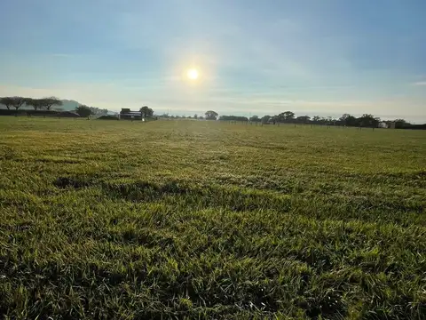 El Encón. Club de campo el Encón. Lote 100