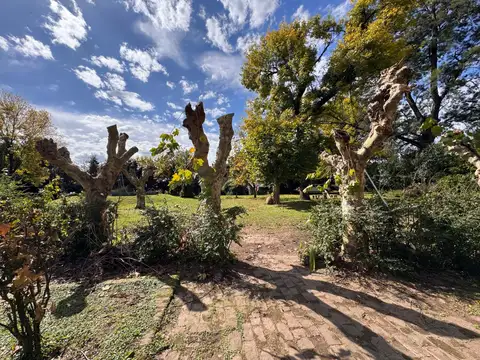 Chacra en venta en Villa Ruiz