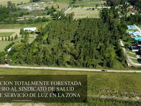 Hectáreas en venta en la plata