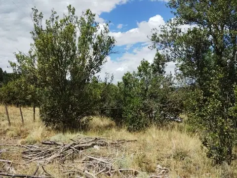 Villa Quilquihue 100