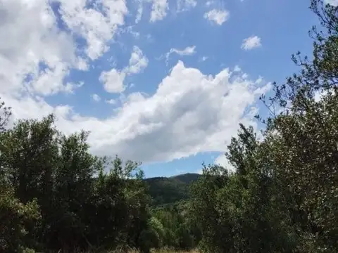 Terreno en Venta 20  mts Fondo