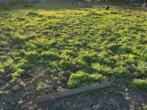 Terreno en Venta en City Bell, USD 35.000