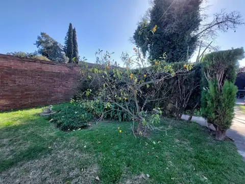 Terreno en Venta 7  mts Frente