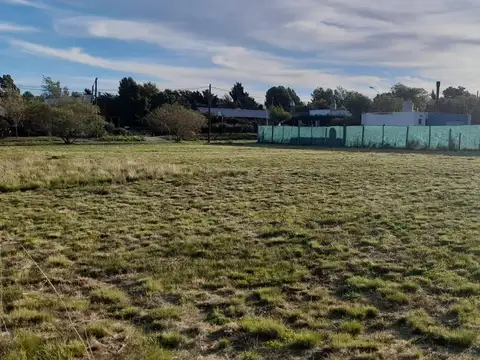 El Ceibo y Horacio Rega Molina