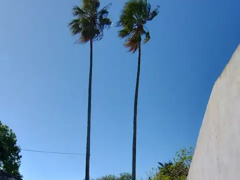 Avenida 2 De Abril 800