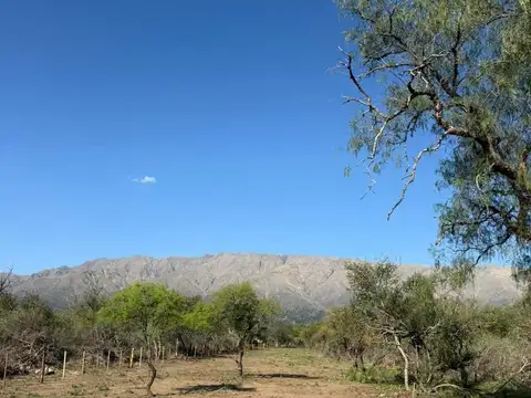 Terreno en Cruz De Caña