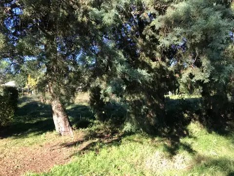 Terreno en Venta 20  mts Frente