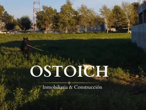 Anibal de Anton entre Goycochea y Maglioti