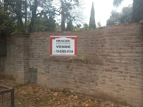 Zorrilla de San Martín 4000