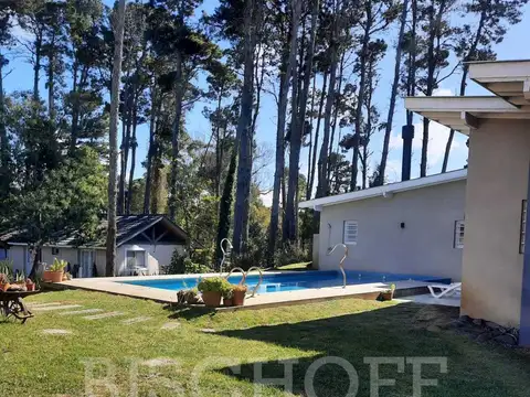 Av Shaw esquina alamos