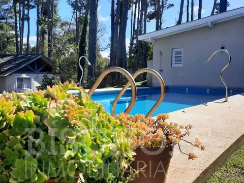 Av Shaw esquina alamos