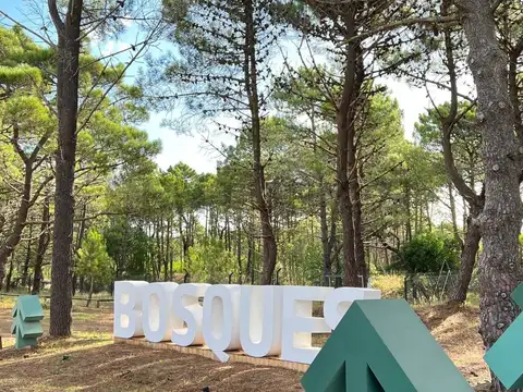 LOTE EN VENTA BARRIO BOSQUES PINAMAR