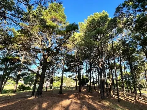 Terreno en Venta en Pinamar, USD 105.000
