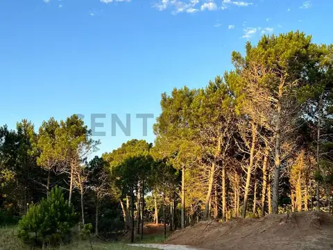 Terreno en Venta 42,01  mts Fondo