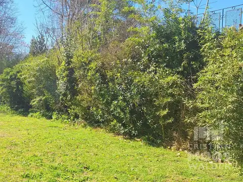 Terreno en Venta 50  mts Fondo