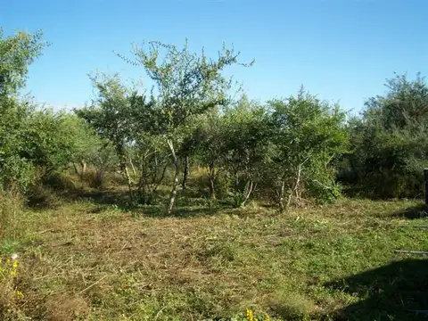 TERRENO CON TODO PARA DISFRUTAR DE LA NATURALEZA