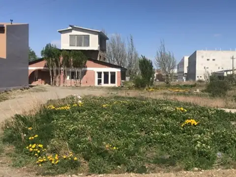Madres de Plaza de mayo esquin