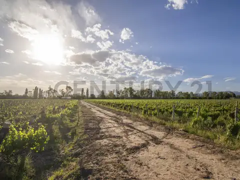 RUTA 15 KM 34 , Piso 0