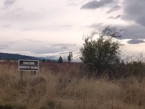 Terreno de 8800 m2 en Callejón Palma