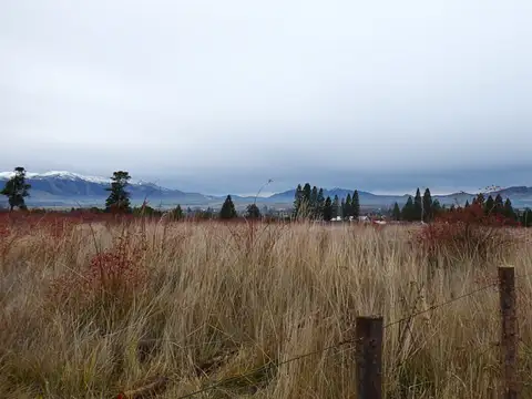 Terreno de 8800 m2 en Callejón Palma