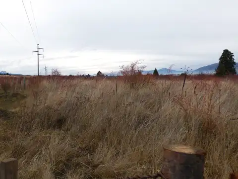 Terreno en Venta de 8800,0 m2