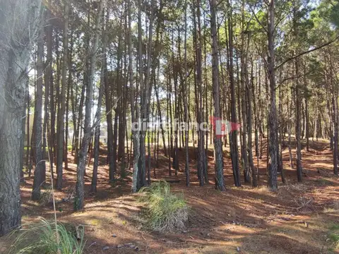 Terreno - Venta - Argentina, PINAMAR