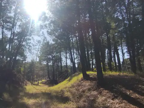 Terreno en Venta en Pinamar, USD 170.000