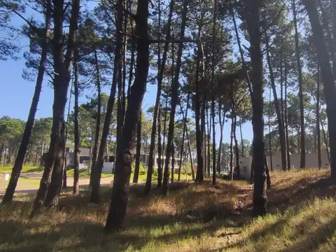 Terreno en Venta de 1334,0 m2