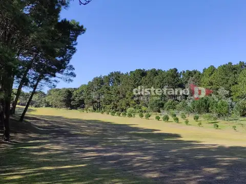 Isla del golf (este)