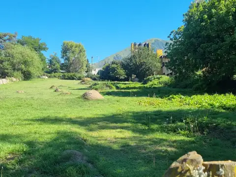 Av.gobernador Critto