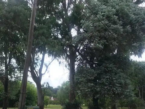 El Remanso, Exaltación de la Cruz, Zona Norte