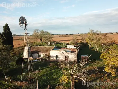 Venta campo 23,5 has agricolas con mejoras sobre ruta 8 km 91, Diego Gaynor.