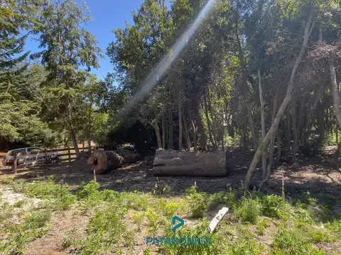 VENTA - Terrerno UF1 de 920m2 en Lomas del Correntoso, Villa La Angostura