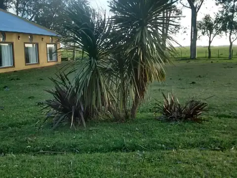 Quinta en Venta de 11 dormitorios