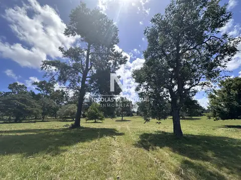 Terreno en Venta de 38000,0 m2