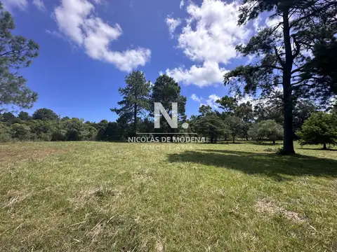 Vende Terreno ideal para desarrollo de barrio privado. Punta del Este