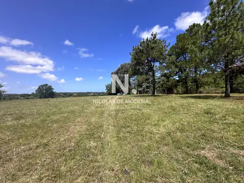 Vende Terreno ideal para desarrollo de barrio privado. Punta del Este