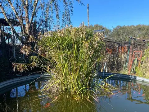 Casa en Venta de 2 dormitorios