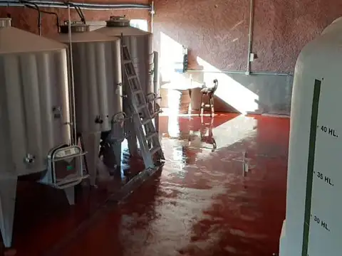 Terreno en Venta en Cafayate, USD 950.000