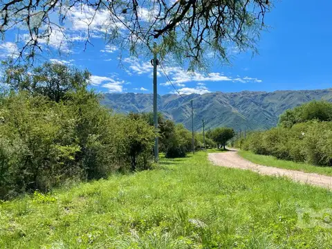 Terreno en Venta 60  mts Fondo