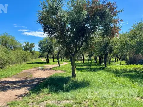 Lote a la venta en Carpintería - San Luis