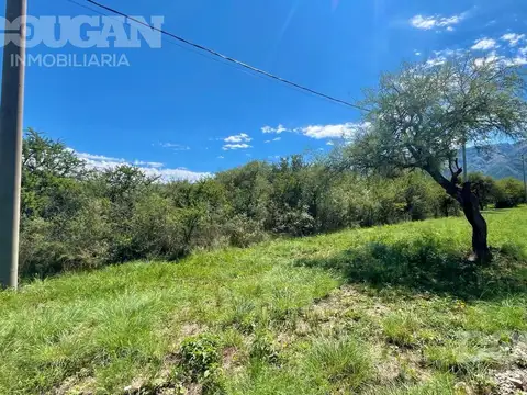 Terreno en Venta en Carpinteria, USD 29.000