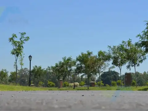 Leandro Niceforo Alem 3300