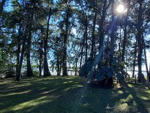 Rio / Arroyo Paraná de Las Palmas lindero lote CON PLAYA 100