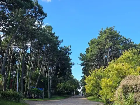 AV. MAR DEL PLATA ENTRE CALLES 40 Y 41